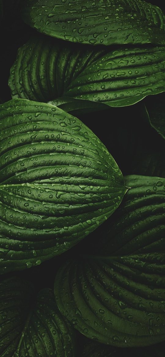 AYX体育 App 赛况数据页界面，深色背景上并排显示两队控球与失误的对比条形图，图表下方是带口径说明的小字注释